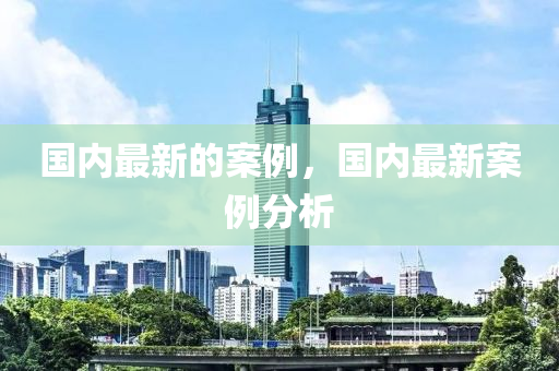 國內(nèi)最新的案例，國內(nèi)最新東莞市世佑電子有限公司案例分析