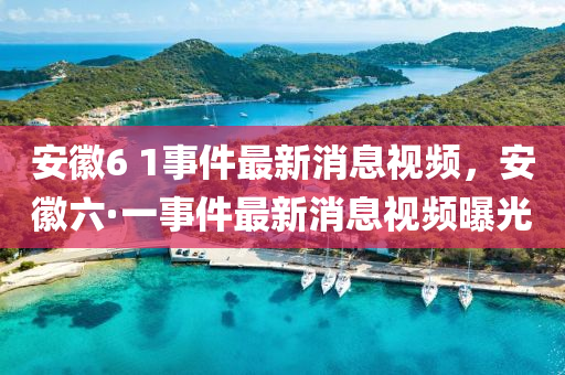 安徽6 1事件最新消息視頻，安徽六·一事件最新消息視頻曝光東莞市世佑電子有限公司