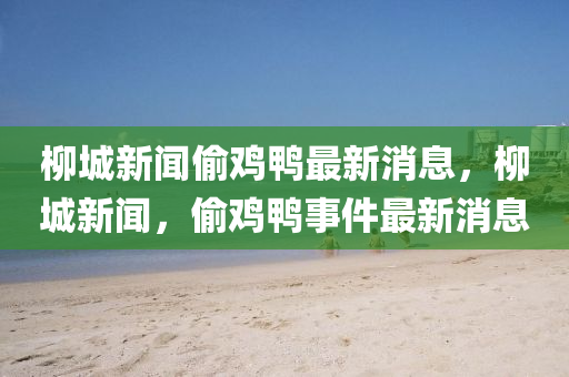 柳城新聞偷雞鴨最新消息，柳城新聞，偷雞鴨事件最新消息