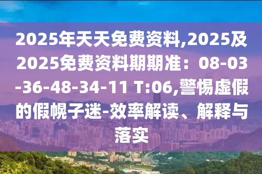 2025年天天免費資料,2025及2025免費資料期期準(zhǔn)：08-03-36-48-34-11 T:06,警惕虛假的假幌子迷-效率解讀、解釋與落實