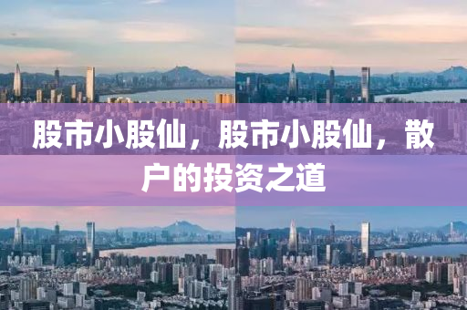 股市小股仙，股市小股仙，散户的投资之道