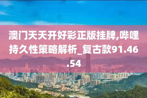 澳门天天开好彩正版挂牌,哔哩持久性策略解析_复古款91.46.54
